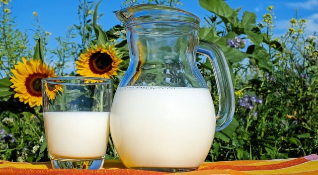 Egészségvédő tejtermékeket fejlesztettek